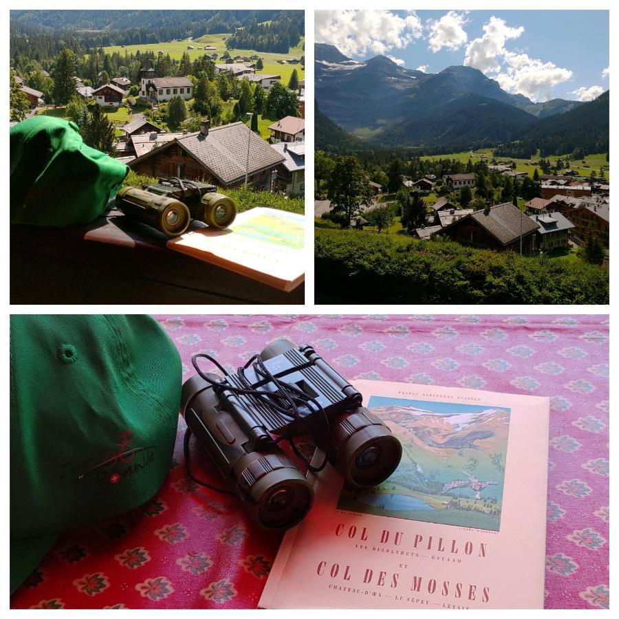 Studio Avec Vue Splendide Sur Les Diablerets Luaran gambar