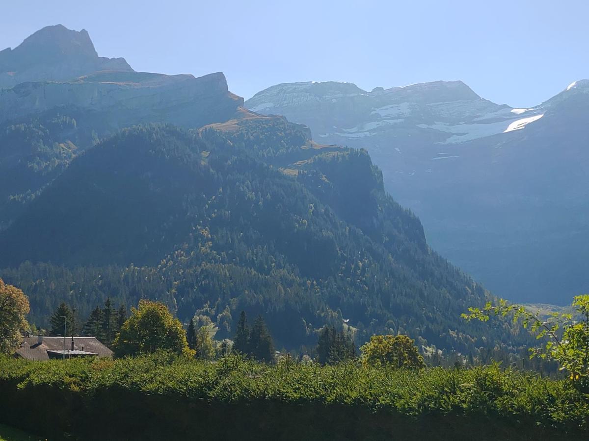 Studio Avec Vue Splendide Sur Les Diablerets Luaran gambar