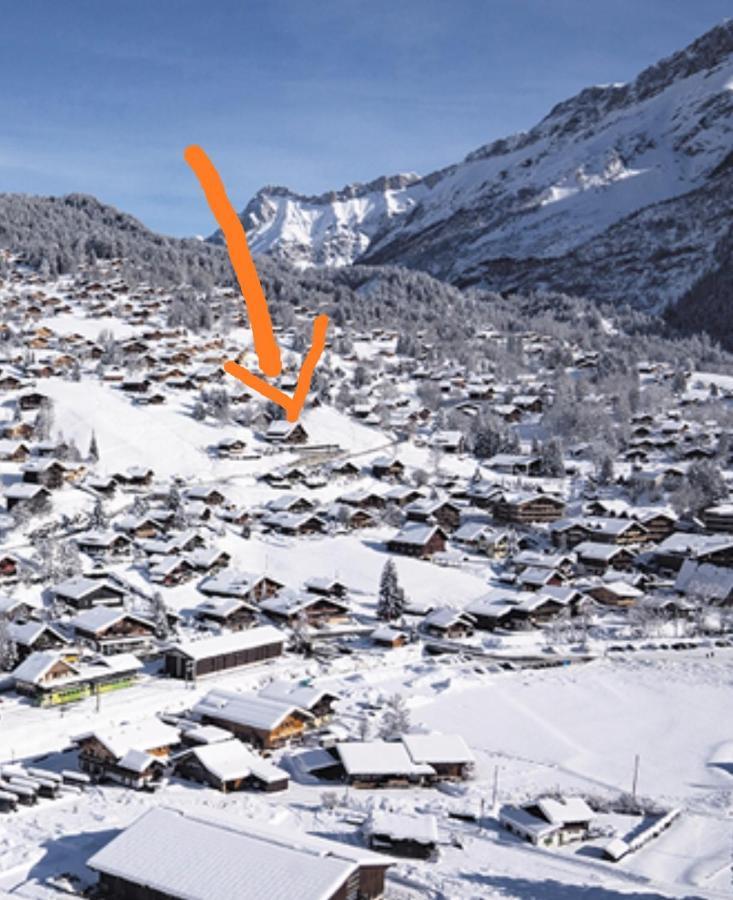 Studio Avec Vue Splendide Sur Les Diablerets Luaran gambar