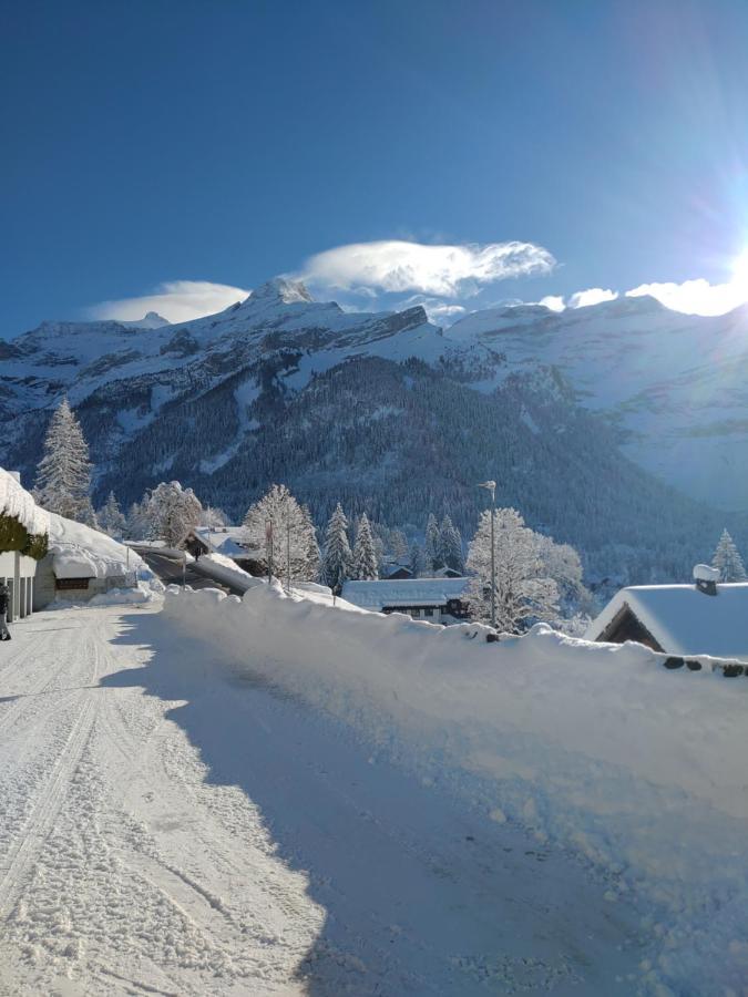 Studio Avec Vue Splendide Sur Les Diablerets Luaran gambar