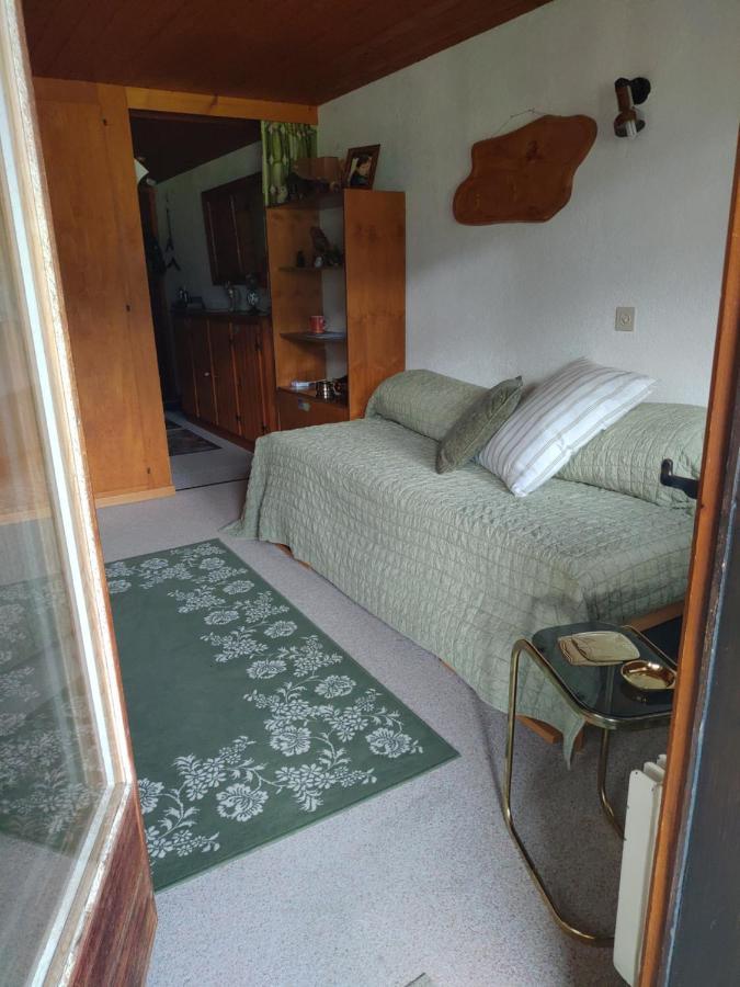 Studio Avec Vue Splendide Sur Les Diablerets Luaran gambar