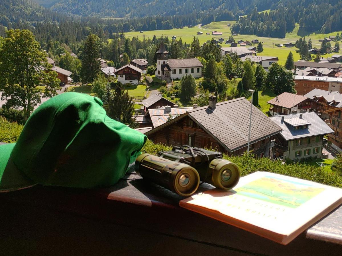 Studio Avec Vue Splendide Sur Les Diablerets Luaran gambar